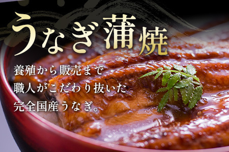 鰻楽 国産うなぎ 2尾 計360g ＆ 宮崎牛 ロースステーキ 250g×2枚 計500g 肉質等級4等級 国産 人気 おすすめ【C129-2510-90】