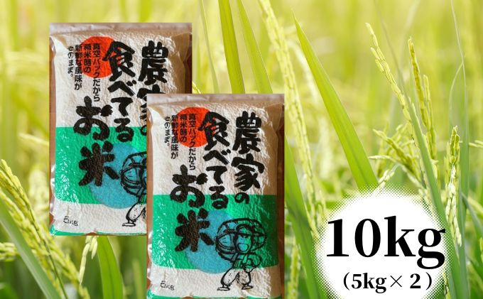 
            [№5258-0634]【令和6年度産】農家の食べてるお米　10kg（5kg×2個）真空パック ライス ご飯 主食 ストック 日持ち 備蓄品 保存食 兵庫県産 姫路市産 産地直送	
          