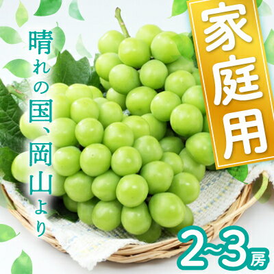 【ふるさと納税】岡山県産シャインマスカット(ご家庭用)【2026年9月中旬以降発送予定】_ シャインマスカット ぶどう 葡萄 ブドウ マスカット 種なし 果物 くだもの フルーツ 岡山県 津山市 産直 産地直送 家庭用 自宅用 送料無料 【配送不可地域：離島】【1461027】