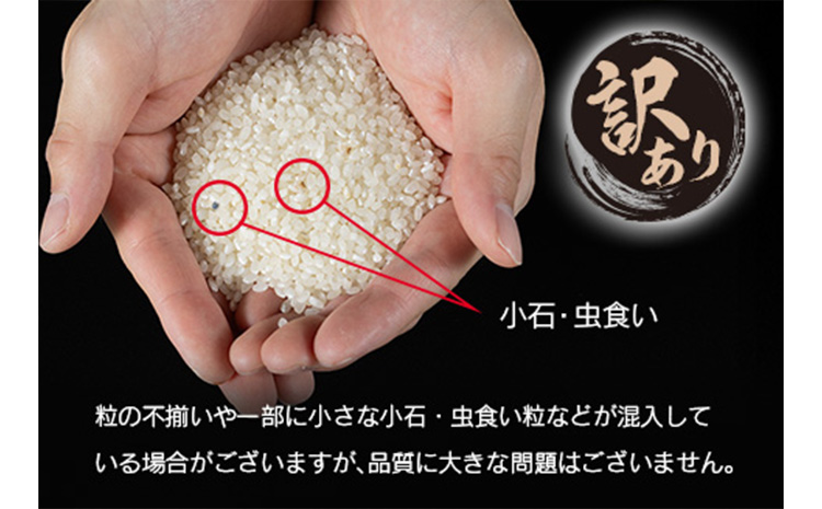 ＜訳あり＞令和７年産　新米コシヒカリ5kg 宮崎県新富町産【B679】