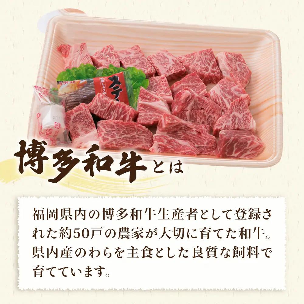【人気セット】A4ランク 博多 和牛 ヒレ肉 サイコロ ステーキ 300g/博多和牛と糸島産豚肉入り手作り生ハンバーグ 130g×3個 糸島市/糸島ミートデリ工房 [ACA052] 国産 冷凍
