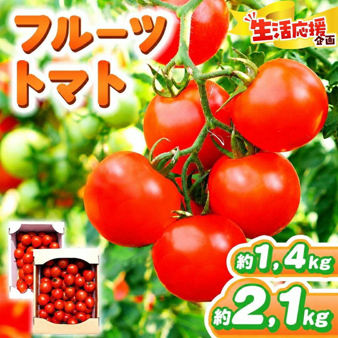 【ふるさと納税】【 選べる 容量 】フルーツトマト 約1.4kg or 約2.1kg | 野菜 トマト フルーツトマト 中玉トマト 大容量 有機肥料 とまと 地下水 鈴木農園 鈴木メロン園 千葉 君津 きみつ