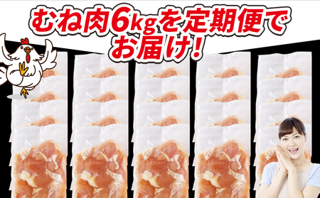 ＜宮崎県産若鶏切身 むね肉 6kg（300g×20袋）6か月定期便＞ 申込み翌月から発送 【 からあげ 唐揚げ カレー シチュー BBQ 煮物 チキン南蛮 小分け おかず おつまみ お弁当 惣菜 時短