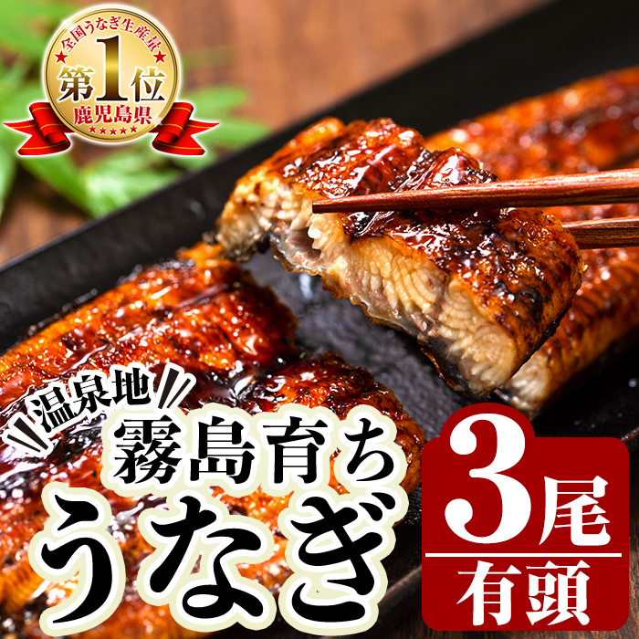 B-128-RT 霧島市育ちのあの「うなぎ」120～130g×3尾【田代水産】霧島市 鰻 ウナギ 蒲焼き 蒲焼 国産