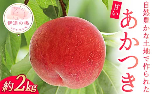 【2026年出荷分先行予約】福島県産 あかつき 約2kg 玉数はおまかせ はこざきフルーツ 伊達の桃 桃 フルーツ 果物 もも モモ momo F21C-422
