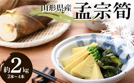 《2025年 先行予約》 山形県産 孟宗筍 約2kg（2～4本） 竹の子 たけのこ タケノコ FSY-2082