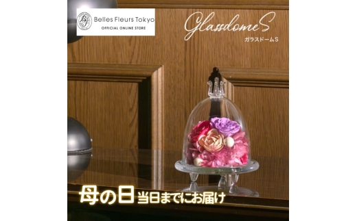 ガラスドームS 花 お花 プリザーブドフラワー ギフト プレゼント お祝い 誕生日 お供え アレンジ インテリア 東京都 墨田区【ピンク×パープル】 [№5619-6291]2440