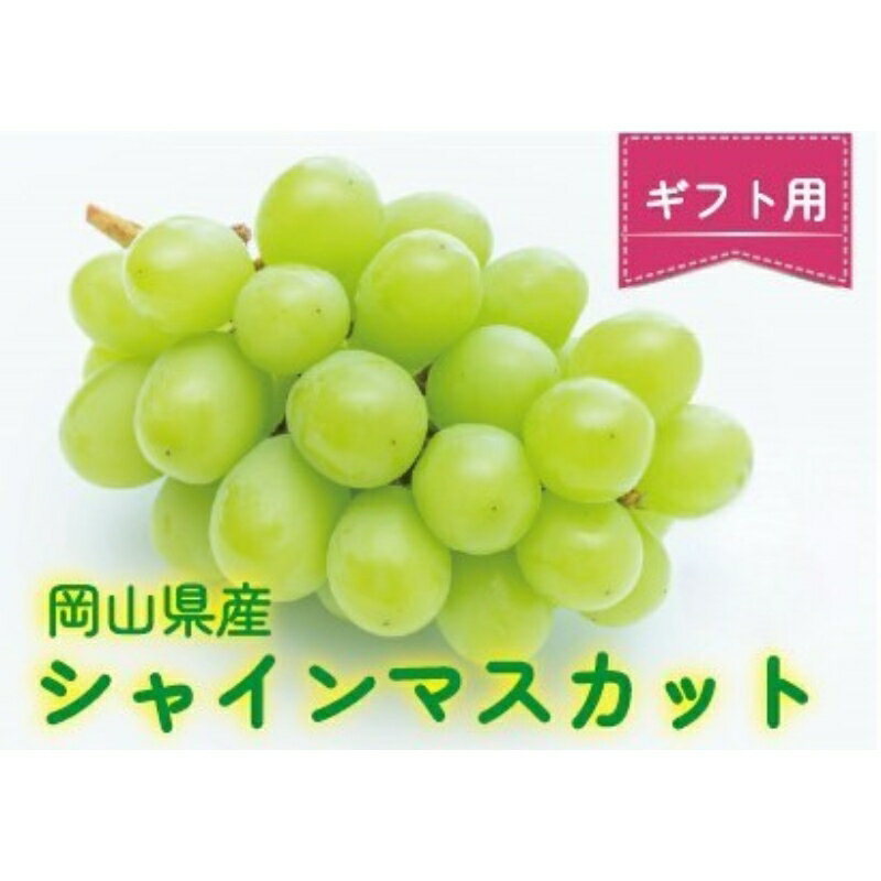 【ふるさと納税】ここちとふぁーむ　【ギフト】　岡山県産　シャインマスカット　2房　1.3kg以上【9月中旬～10月中旬頃順次発送予定】/　果物 くだもの フルーツ 葡萄 ぶどう シャインマスカット 岡山県産