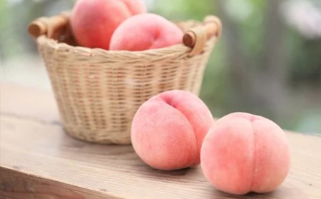 山形産 白桃 秀 3kg(8玉～14玉)【令和8年産先行予約】FU23-315 くだもの 果物 フルーツ 山形 山形県 山形市 2026年産