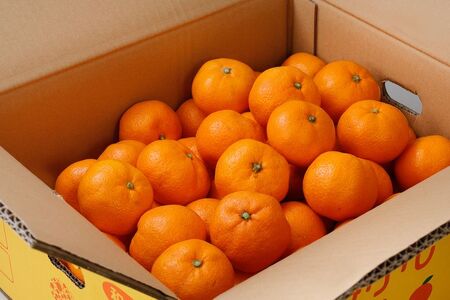 【2024年12月発送予約分】【農家直送】【家庭用】こだわりの有田みかん 約7.5kg 有機質肥料100%　 サイズ混合　【12月発送】【nuk100-2B】