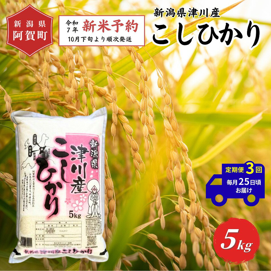 【ふるさと納税】 《先行予約》＜定期便3回＞ 米 5kg 新潟県産 「津川産 コシヒカリ」 令和7年産 5kg × 1袋 | 白米 精米 こしひかり 送料無料 お取り寄せ お米 ※2025年10月下旬頃より順次発送