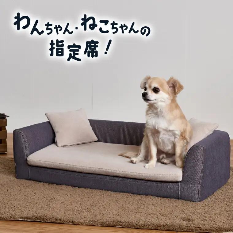 blocco ペット用品 洗えるペット用ソファ【撥水・防汚】（ライトグレー×ライトブルー） | ブロッコ ペットソファ インテリア 北海道 石狩市