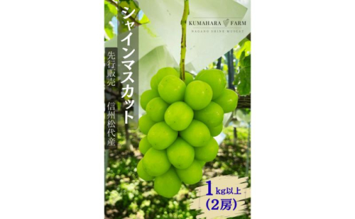 ぶどう シャインマスカット1kg以上 果物 信州 長野県 長野市