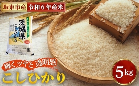 No.848 令和7年産　こしひかり5kg【坂東市産】 ／ 令和7年 新米 米 お米 こめ コメ 精米 白米 ご飯 国産米 5kg 5キロ コシヒカリ こしひかり 甘み 粘り 香り ツヤ おすすめ 人気 おいしい お取り寄せ 産地直送 産直 坂東市産 茨城県産 茨城産 茨城県 特産品