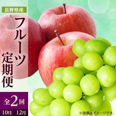 ふるさと納税 中野市 【発送月固定定期便】2027年発送 長野の果物 シャインマスカット+サンふじ全2回
