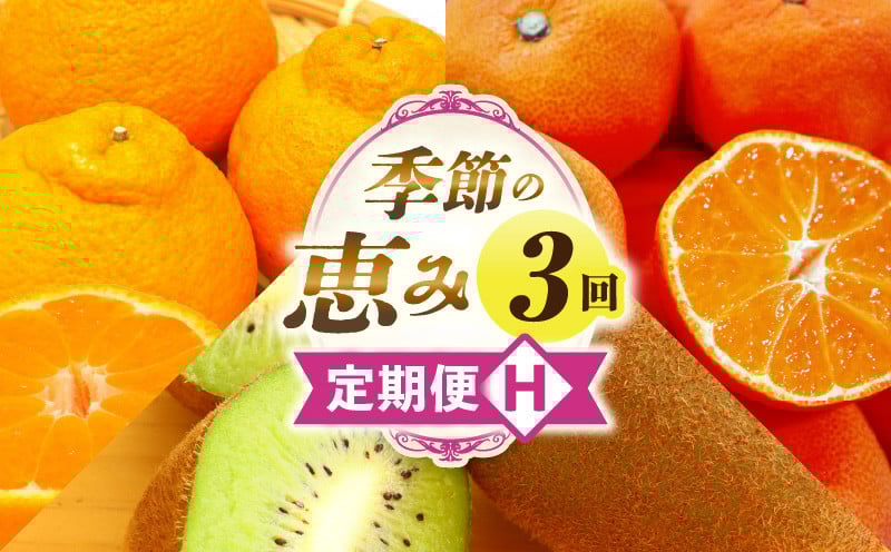 
            季節の恵み3回定期便H_mk165-t023
          