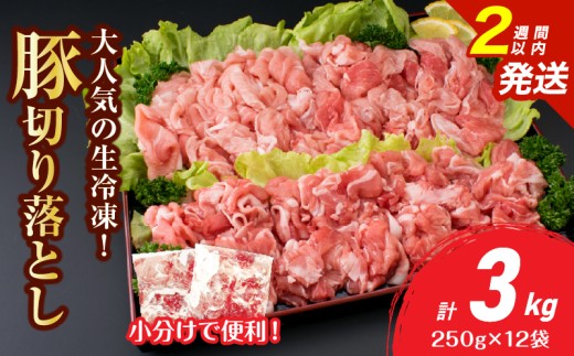 大人気 生冷凍 厳選 豚切り落とし 計3kg 国産 食品 豚肉 ぶた ポーク 小分け 個包装 真空パック 便利 大容量 生姜焼き 野菜炒め 豚汁 肉じゃが 豚丼 お弁当 おかず 晩ご飯 おすすめ 使い切りサイズ 万能食材 おすそ分け 宮崎県 日南市 送料無料_C167-26-2W