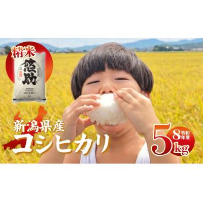ふるさと納税 新発田市 【10月中旬頃〜発送】先行予約 令和8年産 特別栽培米コシヒカリ 精米 5kg