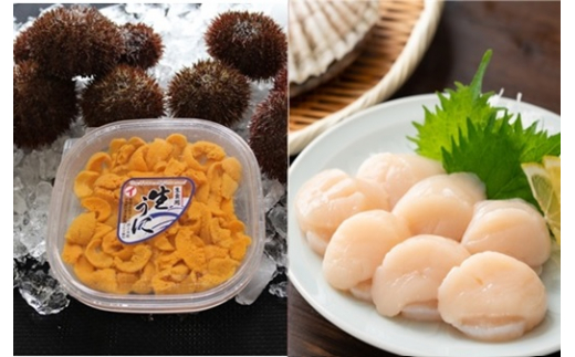 D-71060 エゾバフンウニ塩水パック100g×1P、お刺身ホタテ貝柱500g×1P