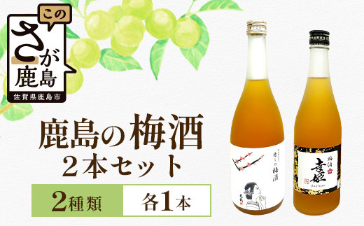 【梅酒セット】鹿島の梅酒2本セット 【光武 癒しの梅酒 720ml 1本】・【幸姫梅酒 500ml 1本(パリ・クラマスター2024 ゴールドメダル受賞)】[梅酒 うめ酒 セット 梅酒セット 2本 お酒 酒 梅 梅果肉 すっきり 酸味 おすすめ 人気 送料無料] B-811