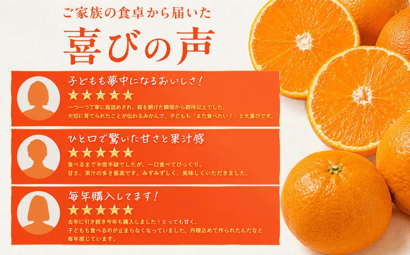 ＜訳あり 愛媛県産八朔 合計約10kg＞『2027年2月上旬～3月下旬迄に順次出荷予定』ご家庭用 爽やか 果汁 果物 はっさく くだもの フルーツ みかん オレンジ 柑橘 人気柑橘 特産品 株式会社O