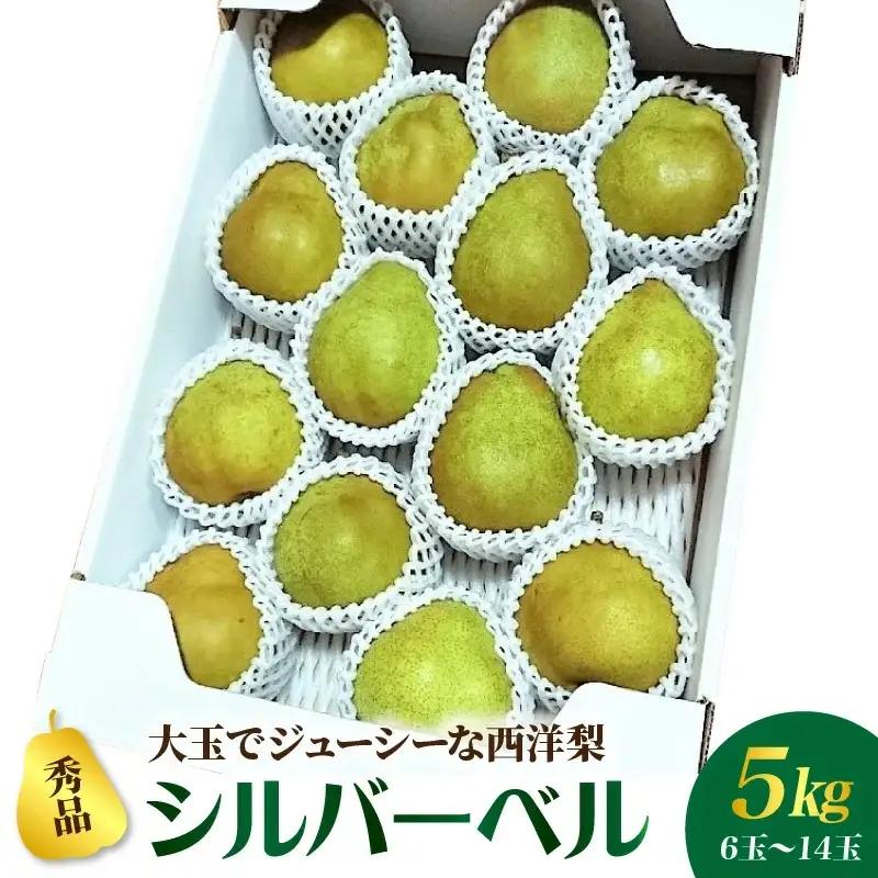 西洋梨（シルバーベル）５ｋｇ　0056-2625