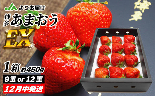 【先行予約】12月発送！「博多あまおう」EX　贈答用化粧箱　約450g 1箱【ほたるの里】_AS0754-00