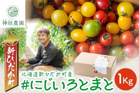 ＜ 8月上旬より発送 ＞ 北海道産 カラフルトマト カラフルミニトマト ミニトマト 1kg #にじいろとまと ＜ 予約受付 ＞