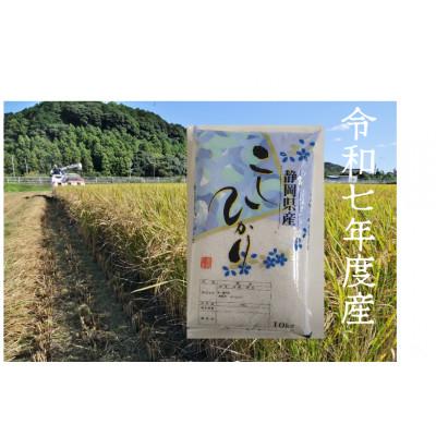 ふるさと納税 磐田市 静岡こしひかり 精米 10kg