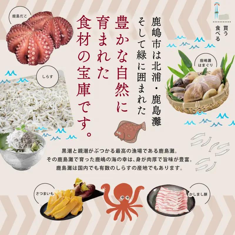 牡蠣 岩牡蠣 3㎏ 6～15個 海産物 天然岩牡蠣 産地直送 国産 茨城県 鹿嶋市