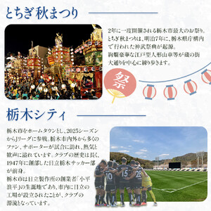 着物で蔵の街ゆっくり散策チケット 小江戸とちぎ賑わい御膳付き（1名様分）【券 人気 おすすめ 】