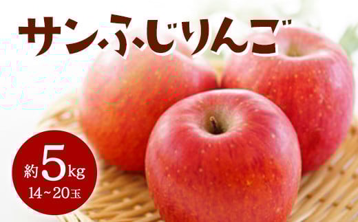 【2025年発送 先行予約】 サンふじりんご 約5kg  りんご リンゴ 林檎 デザート フルーツ 果物 くだもの 果実 食品 山形県 FSY-0712