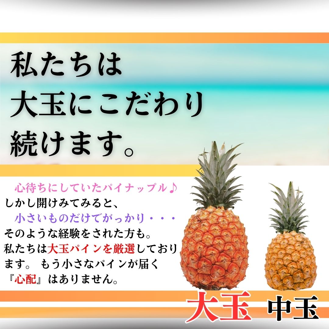 【先行予約】サンドルチェ大玉6個 計7.2kg 《7月末から順次発送予定》SI-43