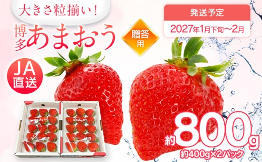 【2027年1月下旬～2027年2月順次発送】あまおう 約400g×2パックEX