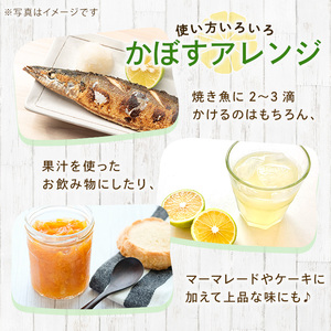 ＜先行予約受付中！2026年8月上旬以降順次発送予定＞かぼす(15kg)柑橘 かんきつ 大分県産直 期間限定【112600300】【ａｎｄＫ】