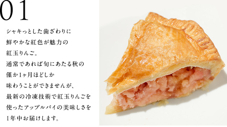アップルパイ （ ホール 直径 20ｃｍ ） 自家製 ケーキ パイ 焼き菓子 リンゴ スイーツ ホール お取り寄せ お菓子 洋菓子 紅玉りんご ギフト 贈り物 [BL001tu]