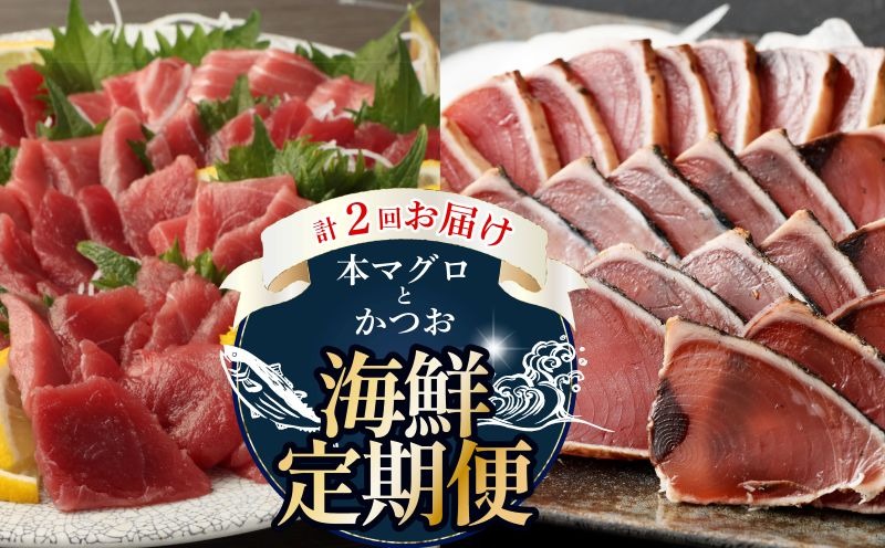 【 全2回定期便 】本マグロ と カツオ の 定期便 海鮮 鮪 鰹 定期 セット まぐろ カツオのたたき 本マグロ 中トロ 赤身 刺身 海鮮 鰹 小分け 冷凍 魚 海産物 魚介類 高知県 まぐろたたき 鮪 藁焼き わら焼き タカシン定期便 海鮮定期便 頒布会