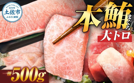 本マグロ 本鮪 大トロ500g まぐろ 本鮪 大トロ 中トロ 刺身 海鮮 冷凍 天然 お取り寄せ ギフト 高知県 土佐市【株式会社大熊】[BQAA035]