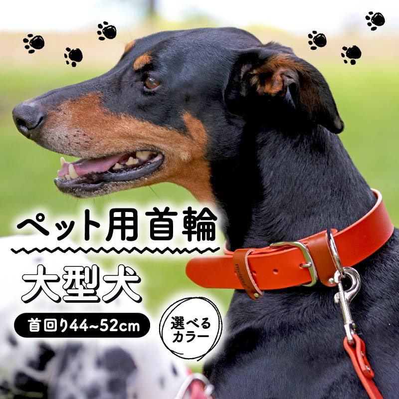 
ペット用首輪 選べるカラー 大型犬用 首回り44-52cm ペット 犬 愛犬 ワンちゃん 大型犬 首輪 リード 本革 レザー 牛革 牛 散歩 さんぽ ウォーキング 健康 おしゃれ 消耗品 大阪府 松原市
