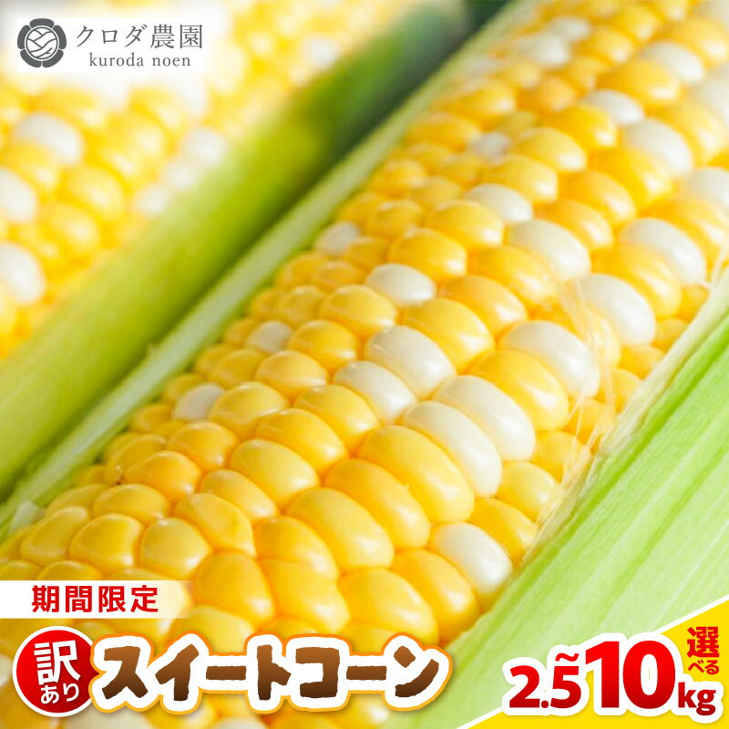 【ふるさと納税】【先行予約】【訳あり】農場直送 鮮度抜群 スイートコーン( とうもろこし ) 約2.5kg / 約5kg / 約10kg（6本〜30本) 【2026年7月上旬より順次発送予定】【お楽しみ バーベキュー 冷凍保存可能 焼肉 おやつ ご飯のおとも 野菜 国産 産地直送】