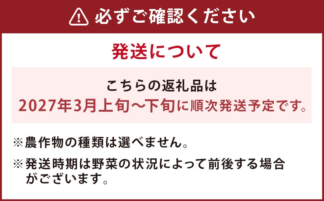 ひとよし球磨産 新鮮農作物詰合せ