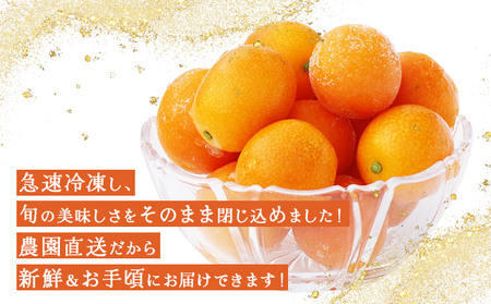 KU447 冷凍完熟きんかん８００g【たま様ファーム】