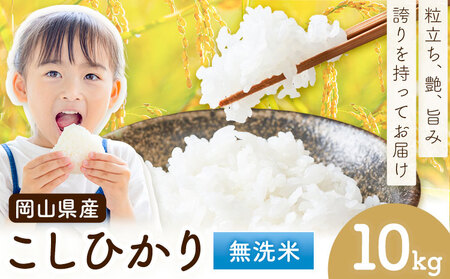岡山県産 こしひかり 10kg(5kg×2袋) 無洗米 全農パールライス株式会社《30日以内に出荷予定(土日祝除く)》 岡山県 浅口市 送料無料 こめ 無洗米 コシヒカリ