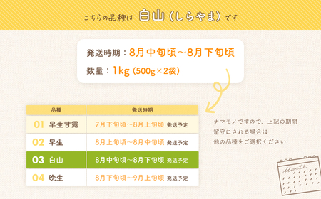 【令和7年産 先行予約】だだちゃ豆(白山)　1,000g（500g×2袋） だだちゃ喜左衛門株式会社　枝豆 1kg
