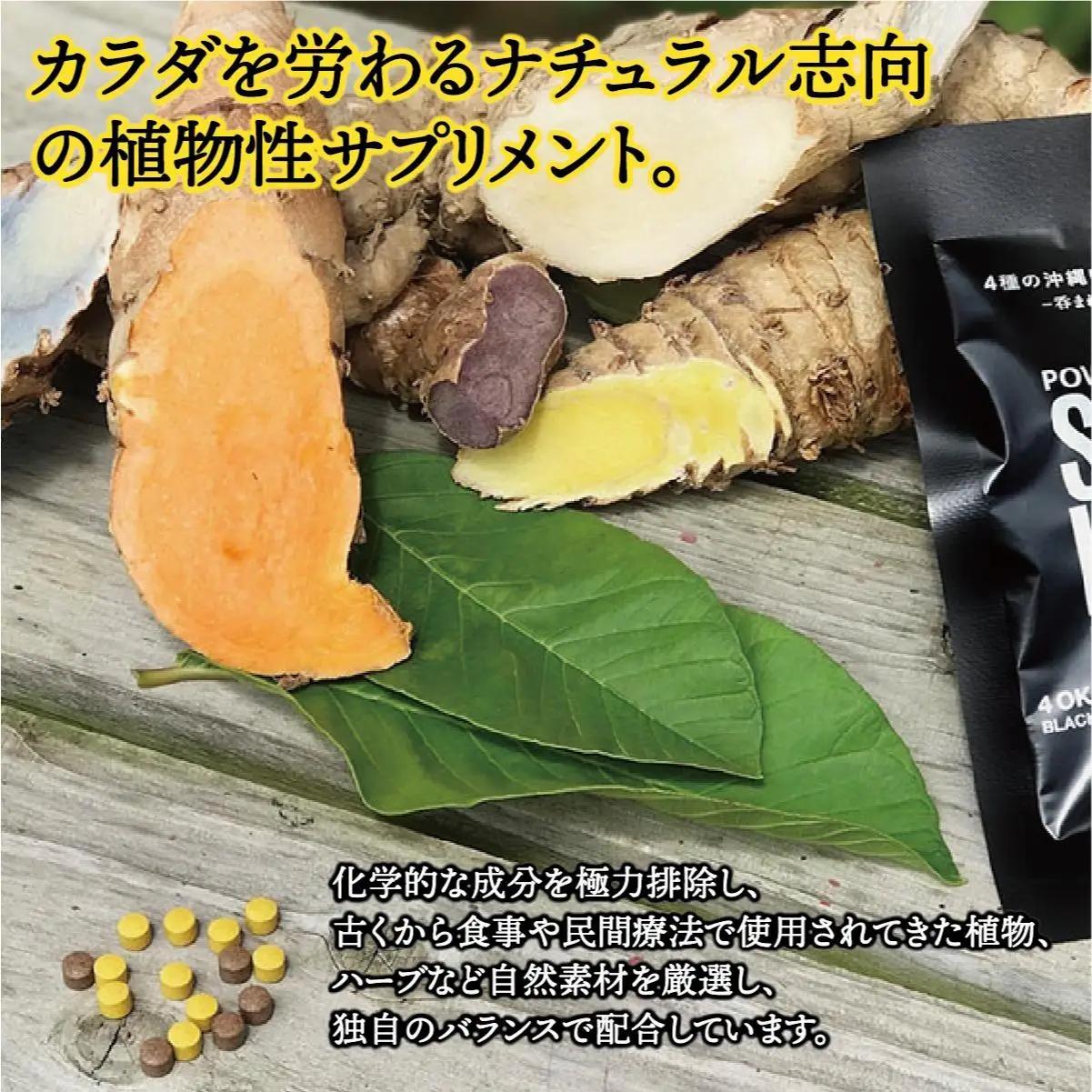 4種のウコンと5種の美健素材（SAKEKING10個セット）   