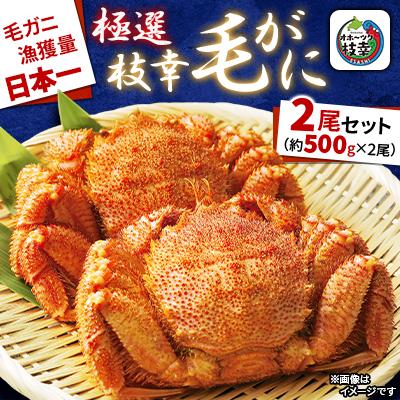 ふるさと納税 枝幸町 漁獲量日本一 枝幸毛がに 2尾セット(約500g×2尾) 北海道枝幸町産