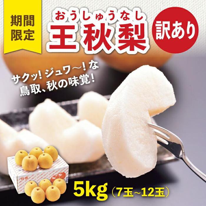 【ふるさと納税】訳あり 王秋梨 5kg【やぶやフルーツガーデン】