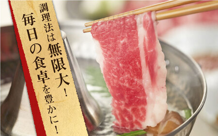 【全6回定期便】長崎和牛出島ばらいろ切り落とし（モモ、バラ、カタのいずれか）400g×2入【合同会社肉のマルシン】[QBN026]