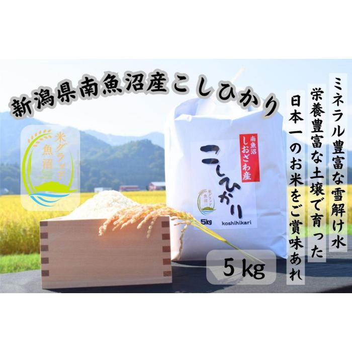 【ふるさと納税】新潟県南魚沼市の豊かな自然が育んだ、極上のコシヒカリ　5kg | お米 こめ 白米 コシヒカリ 食品 人気 おすすめ 送料無料 魚沼 南魚沼 南魚沼市 新潟県産 新潟県 精米 産直 産地直送 お取り寄せ