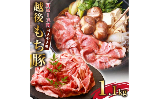 「肉厚でジューシー 越後もち豚肩ロース すきやき用1.1kg」【1117861】